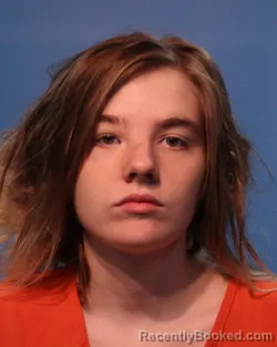 Mugshot of Allison Dickson