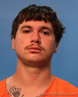 Mugshot of Lane Nicholas Segler