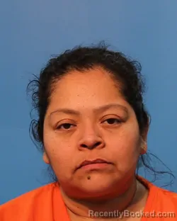 Mugshot of Jesenia Gomez