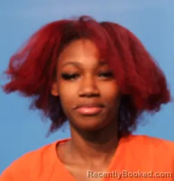 Mugshot of Sinai Palmer