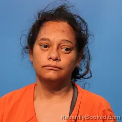 Mugshot of Juanita Garcia