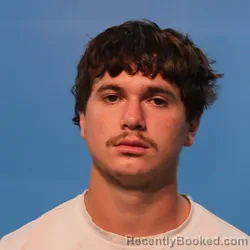 Mugshot of Lane Nicholas Segler