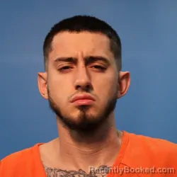 Mugshot of Dayleon Wayne Cooper