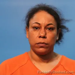 Mugshot of Ashley McDonald