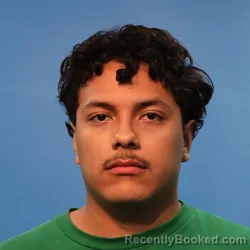 Mugshot of DIEGO ALONSO GARNICA