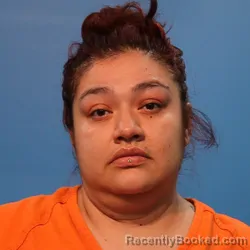 Mugshot of VERONICA VILLAGRAN