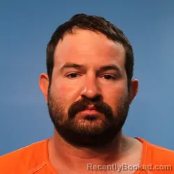 Mugshot of DAVID MICHAEL ANDERSON