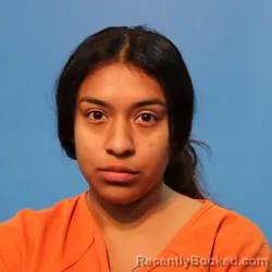 Mugshot of Johanna Isabel Guevara