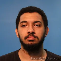 Mugshot of CHRISTIAN DION ROBINSON