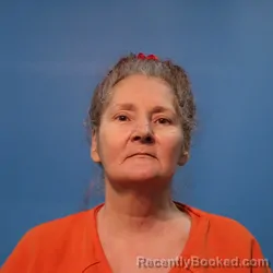 Mugshot of TERRI NEWSOM