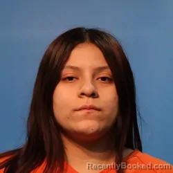 Mugshot of DESTINEY NEAVAH PALACIOS