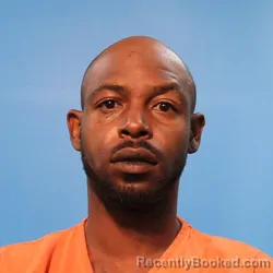 Mugshot of Gavyn Ellis Wells