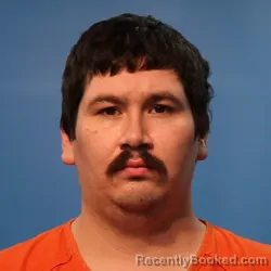 Mugshot of James Allen Bearden