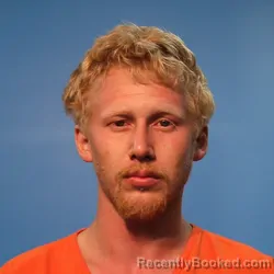 Mugshot of Trenton Wayne McAdams