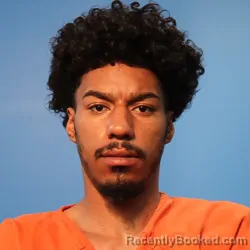 Mugshot of Daniel Levelle Minger