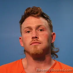 Mugshot of Brandon Wayne McAdams