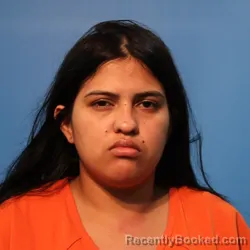Mugshot of YENIBERT ZORRILLA-LOPEZ