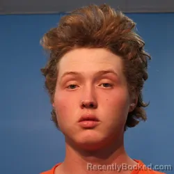 Mugshot of Kaylor Brown