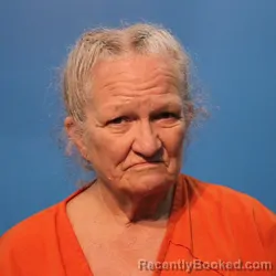 Mugshot of Debra Norman