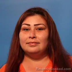 Mugshot of Vanessa Valadez