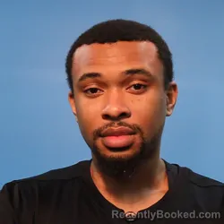 Mugshot of MICHAEL DUANE HAYES