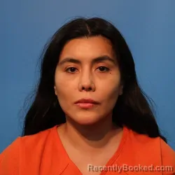 Mugshot of JUDITH ADRIANA OSCORIMA PRIETO booked in Brazoria County, Texas on April 3, 2026