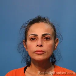 Mugshot of HERMELINDA FERNANDEZ booked in Brazoria County, Texas on April 22, 2026
