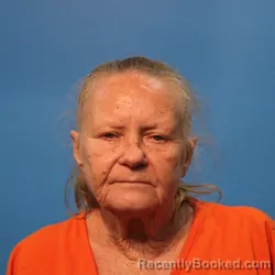 Mugshot of Dianne Hayman booked in Brazoria County, Texas on April 27, 2026