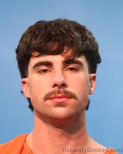 Booking photo from Brazoria County, Texas