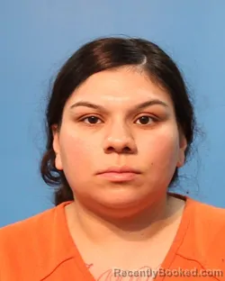 Booking photo from Brazoria County, Texas