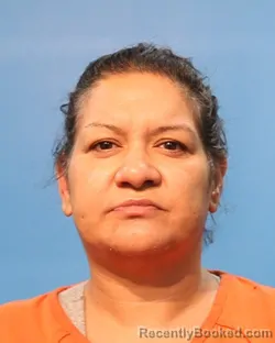 Mugshot of Yisel Stubbs booked in Brazoria County, Texas on May 28, 2026