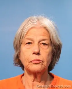 Mugshot of Joan Grimes booked in Brazoria County, Texas on June 9, 2026