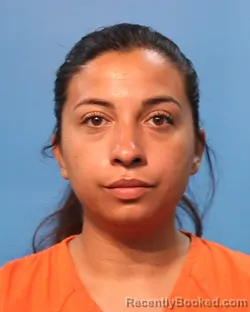 Mugshot of LUDIM MENDEZ booked in Brazoria County, Texas on June 14, 2026