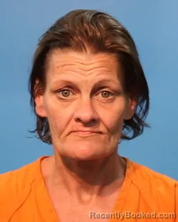 Mugshot of DANA LORRAINE HASTY booked in Brazoria County, Texas on June 19, 2026