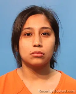 Mugshot of JANET LOPEZ booked in Brazoria County, Texas on June 30, 2026