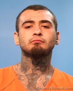 Booking photo from Brazoria County, Texas