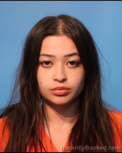 Mugshot of Lily Tram Nguyen booked in Brazoria County, Texas on July 29, 2026
