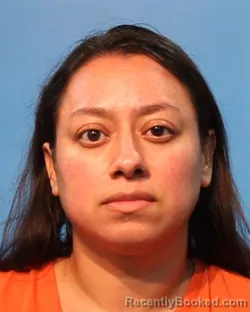 Mugshot of Leticia Rosalinda Gil booked in Brazoria County, Texas on August 1, 2026