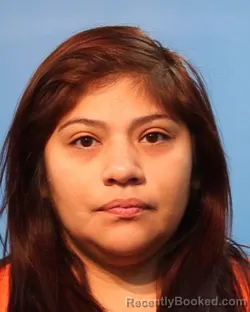 Mugshot of Jasmine Nicole Perez booked in Brazoria County, Texas on August 1, 2026