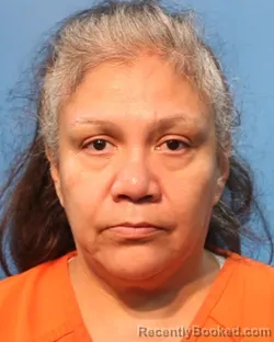 Mugshot of Vivian Montemayor booked in Brazoria County, Texas on August 3, 2026