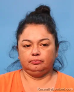 Mugshot of Roxanna Trevino booked in Brazoria County, Texas on August 3, 2026