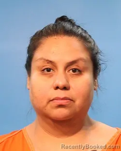 Mugshot of Juanita Tellez booked in Brazoria County, Texas on August 20, 2026