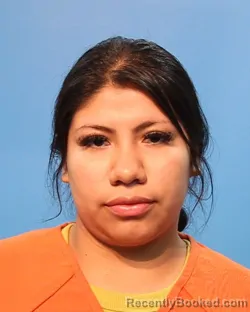 Mugshot of Leticia Guerrero booked in Brazoria County, Texas on August 22, 2026