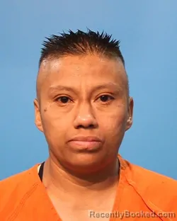 Mugshot of Tanya Lucero Arellano booked in Brazoria County, Texas on September 26, 2026