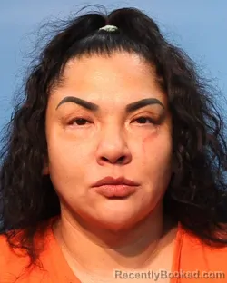 Mugshot of Sonia Haynes booked in Brazoria County, Texas on October 4, 2026