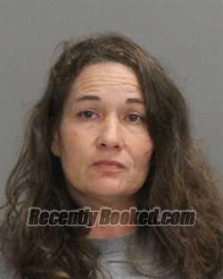 Booking photo from Brazos County, Texas