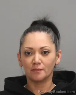 Mugshot of Elizabeth Alvarado Martinez
