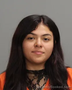 Booking photo from Brazos County, Texas