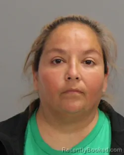 Booking photo from Brazos County, Texas