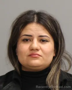 Booking photo from Brazos County, Texas